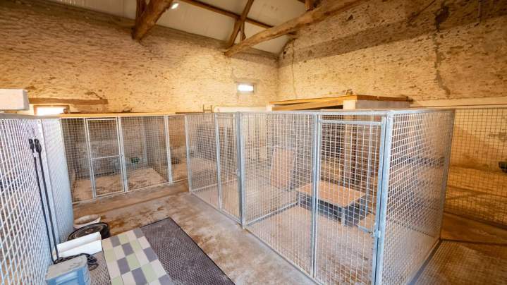 Box pour chien Richarville