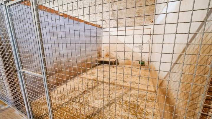 Box pour chien Richarville