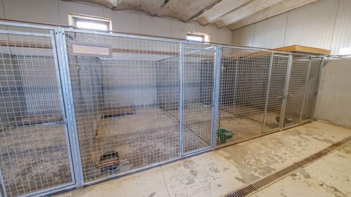 Pension canine Richarville