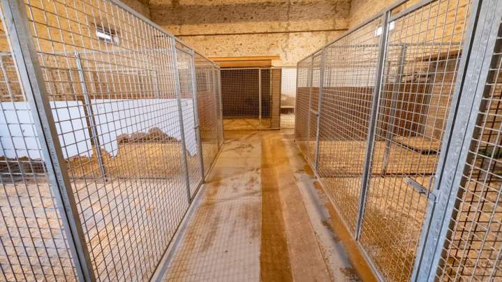 Box pour chien Richarville