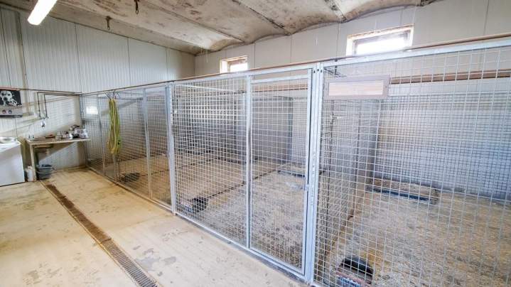 Garderie pour chien Richarville